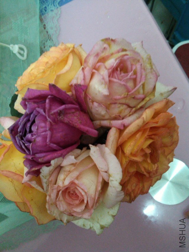 IMG_20120525_180409.jpg