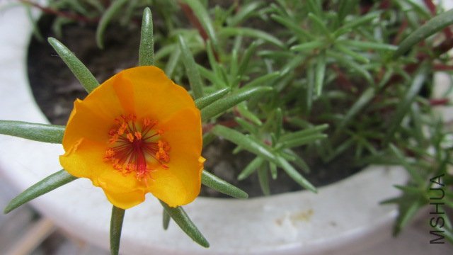 ��Ƭ 009.jpg