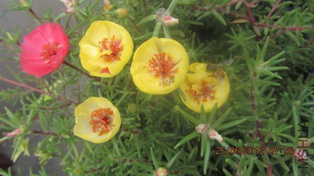 ��Ƭ 095.jpg
