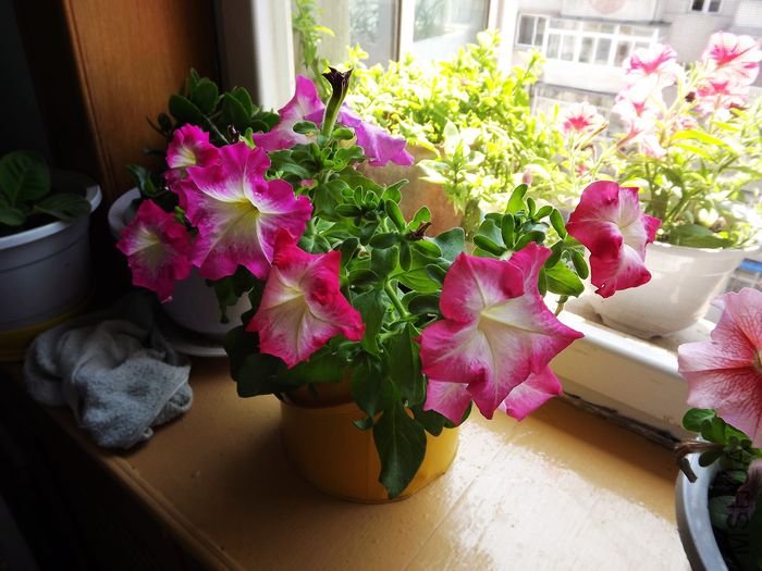 DSCF1004.jpg