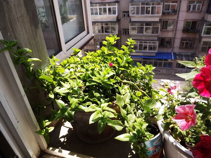 DSCF1014.jpg