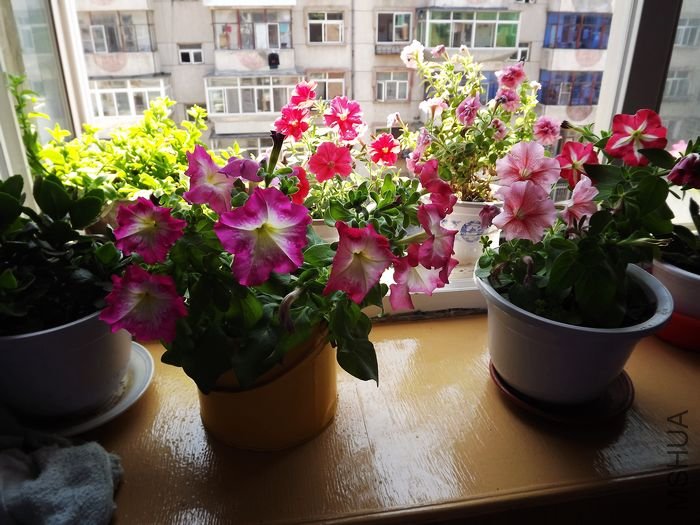 DSCF1015.jpg