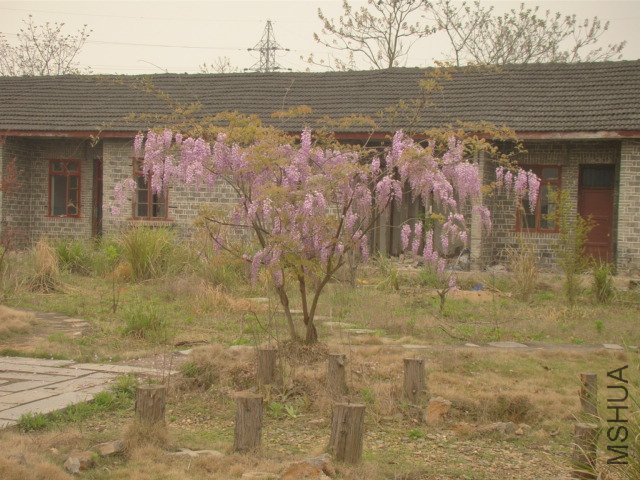 DSC03608.JPG