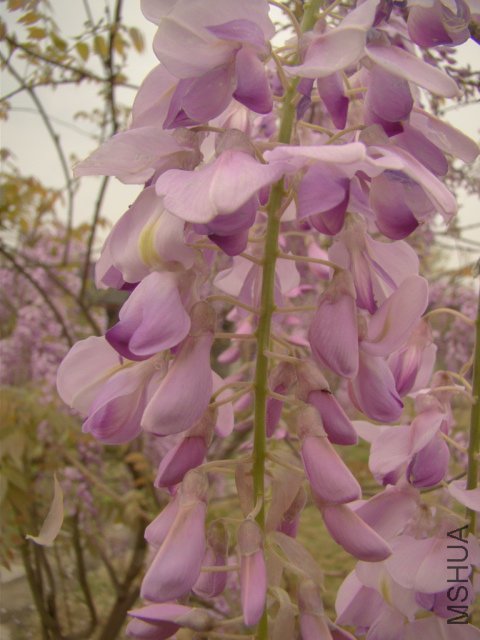 DSC03609.JPG