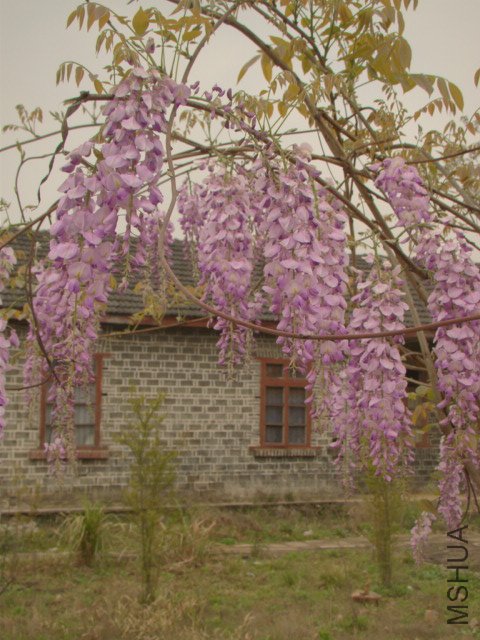 DSC03610.JPG