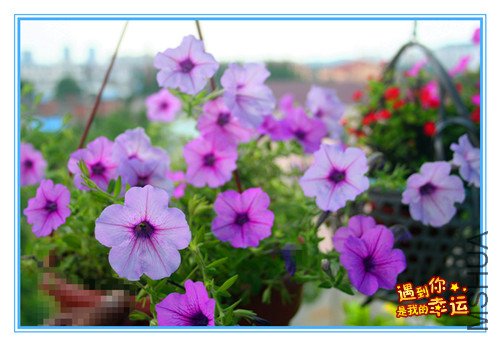 ��Ƭ 064_����.jpg