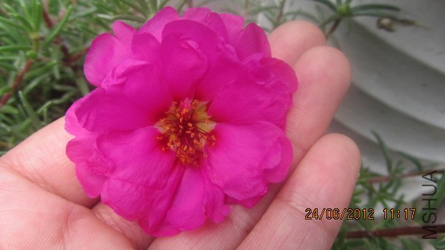 ��Ƭ 088.jpg