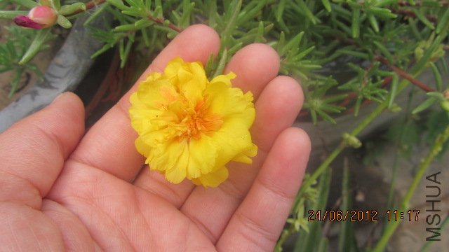 ��Ƭ 086.jpg
