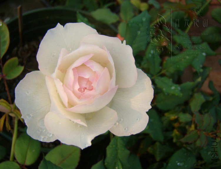 QQ��ͼ20120717113719_1.jpg