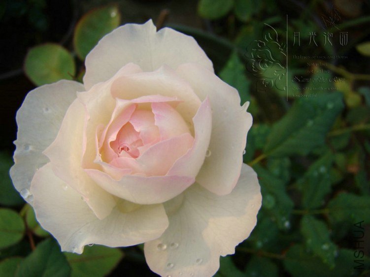 QQ��ͼ20120717113742_1.jpg