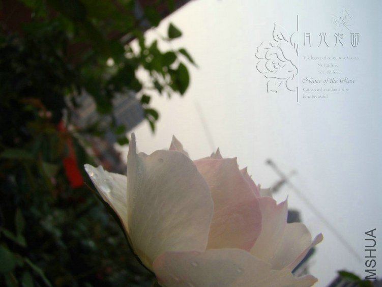QQ��ͼ20120717113904_1.jpg