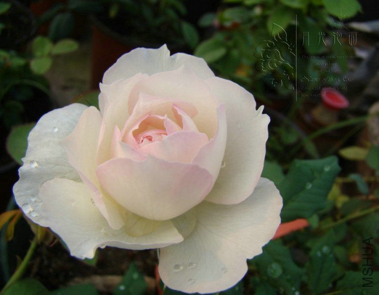 QQ��ͼ20120717113912_1.jpg