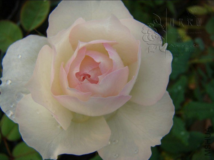 QQ��ͼ20120717113929_1.jpg