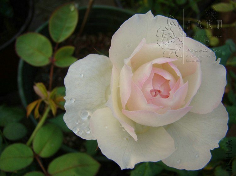 QQ��ͼ20120717113938_1.jpg