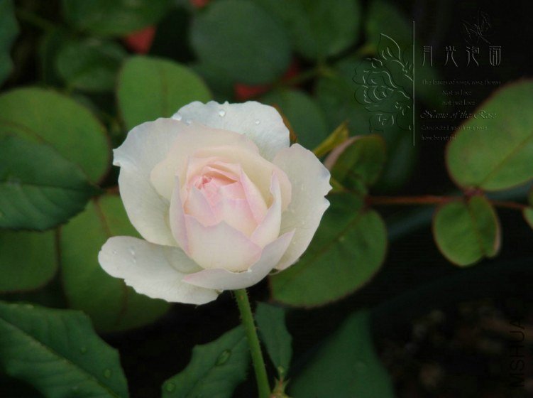 QQ��ͼ20120717113958_1.jpg