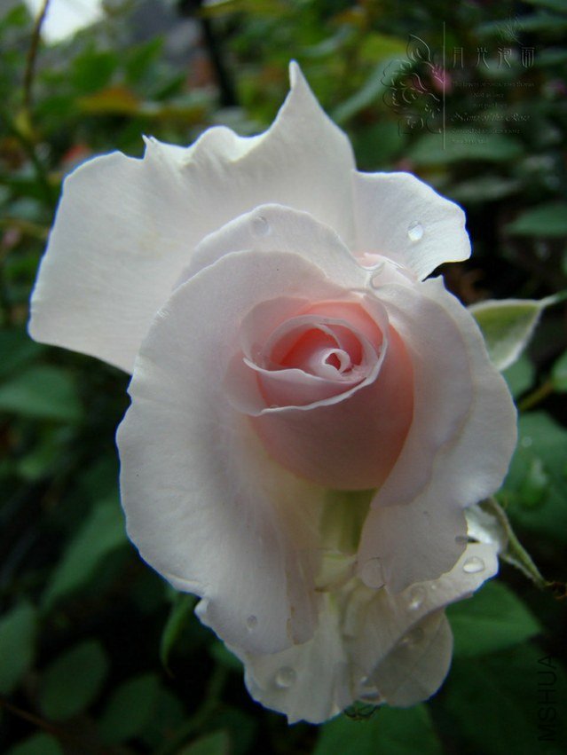 DSC00640.JPG