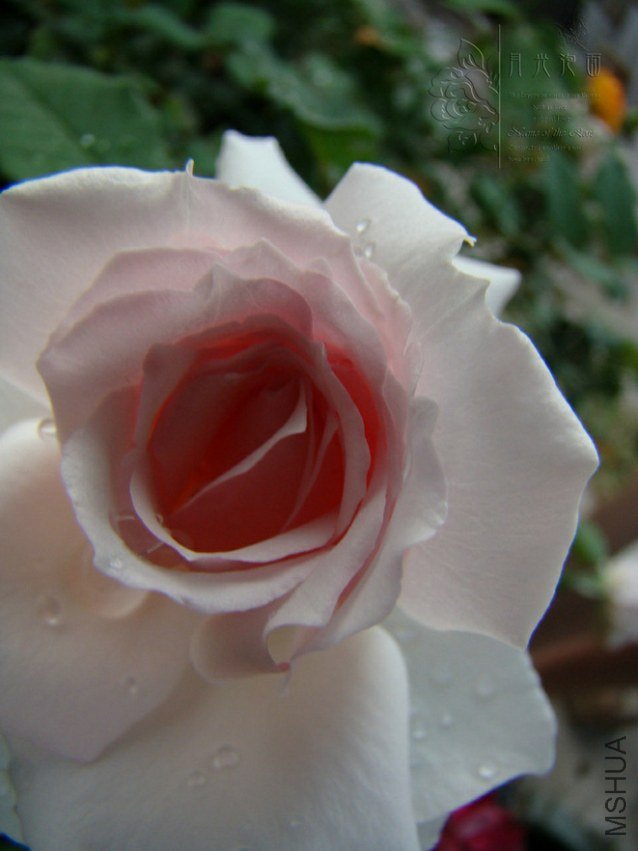 DSC00641.JPG