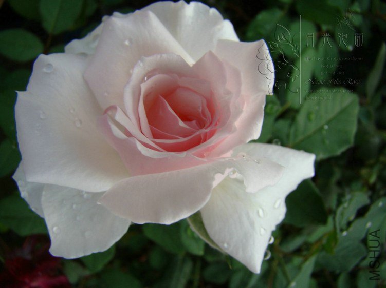 DSC00642.JPG
