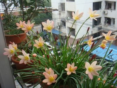 DSC05988.JPG