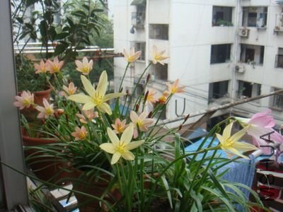 DSC05989.JPG