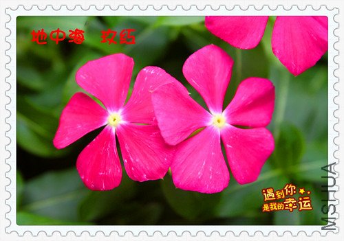 ��Ƭ 002_����_����.jpg