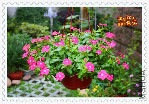 ��Ƭ 001_����.jpg