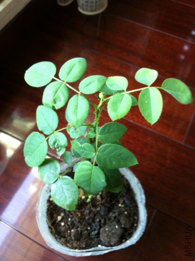 �¼����� 059.jpg