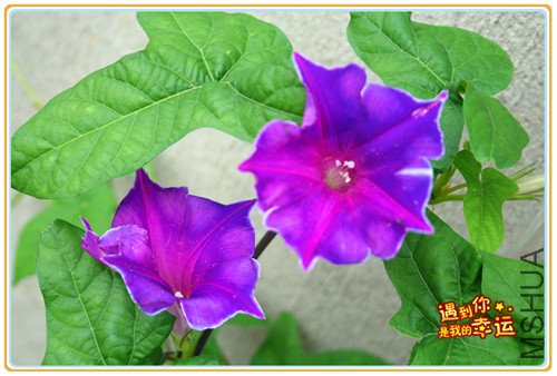 ��Ƭ 010_����.jpg