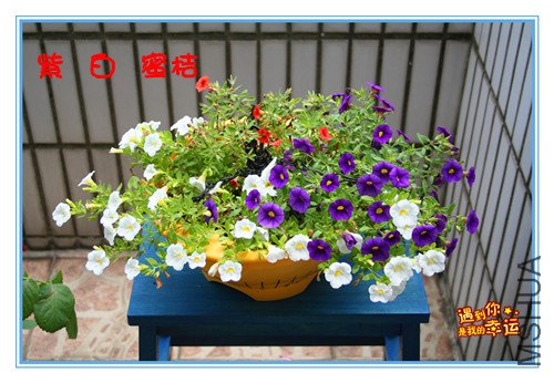 ��Ƭ 119_����.jpg