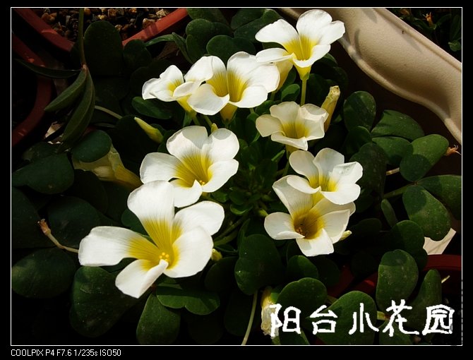 DSCN9443.JPG
