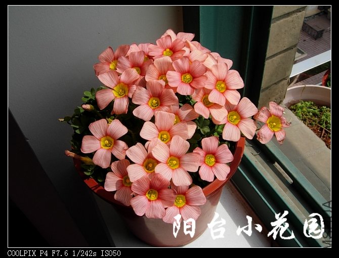 DSCN9863.JPG
