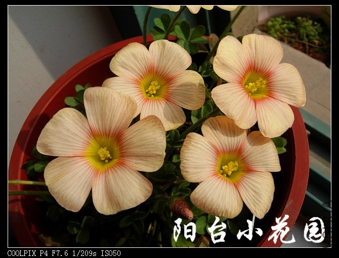 DSCN9874.JPG