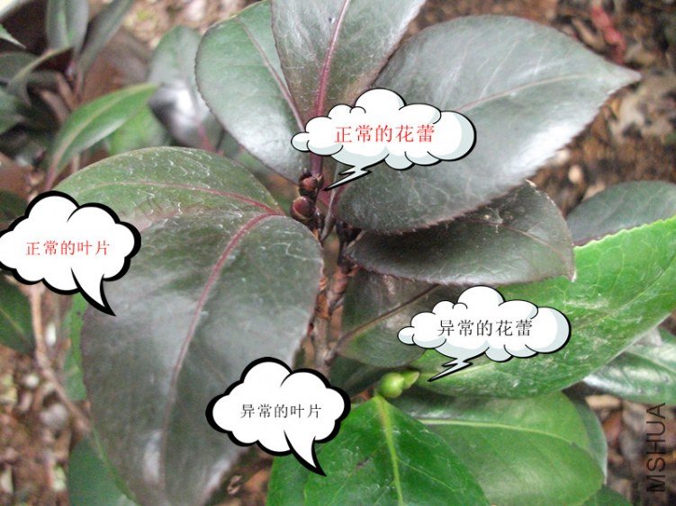 DSCF5150_����.jpg