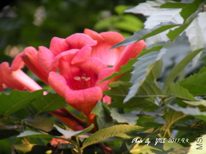 2011.9.4. 003.jpg