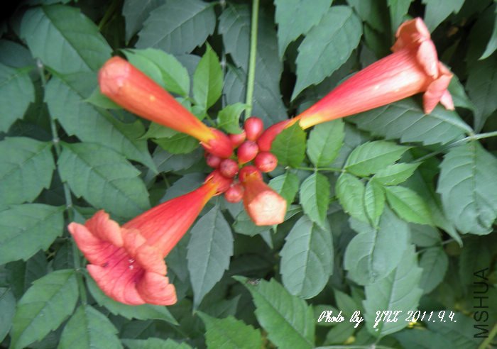2011.9.4. 005.jpg