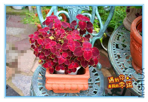 ��Ƭ 007_����.jpg