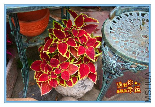 ��Ƭ 009_����.jpg