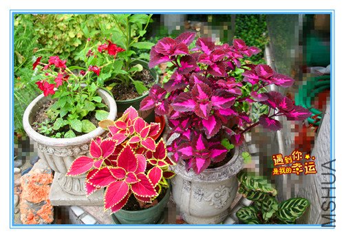 ��Ƭ 010_����.jpg