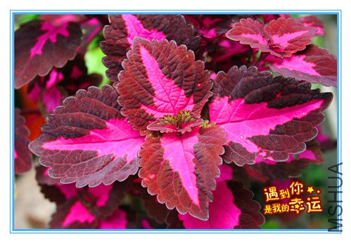 ��Ƭ 012_����.jpg