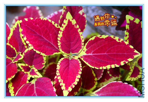 ��Ƭ 013_����.jpg