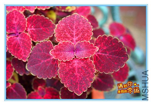 ��Ƭ 014_����.jpg