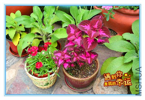 ��Ƭ 016_����.jpg