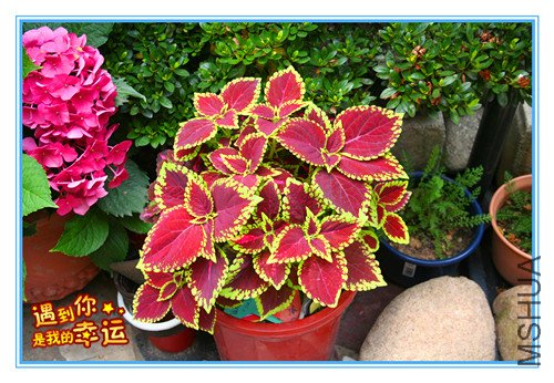 ��Ƭ 018_����.jpg