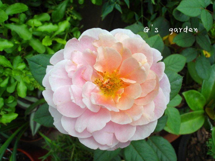 2����   1.jpg