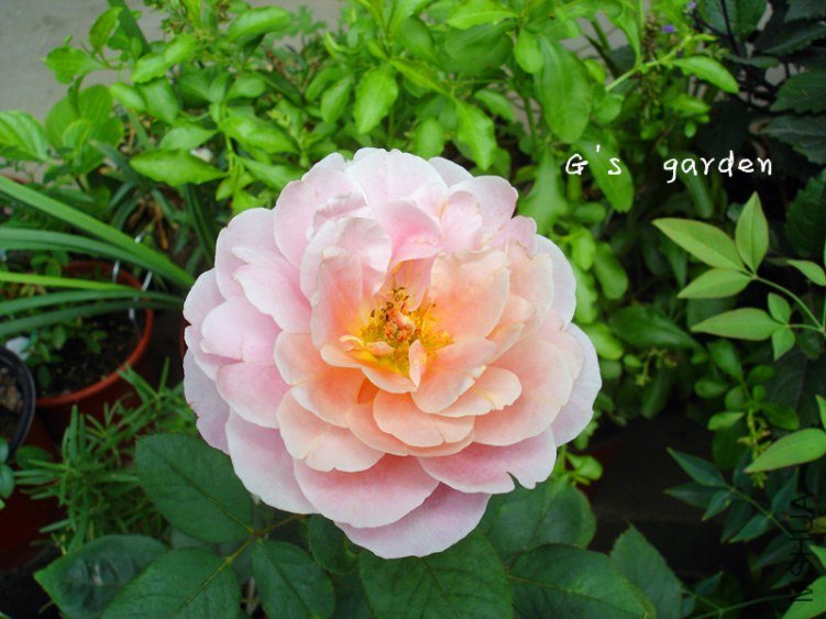 2����   3.jpg