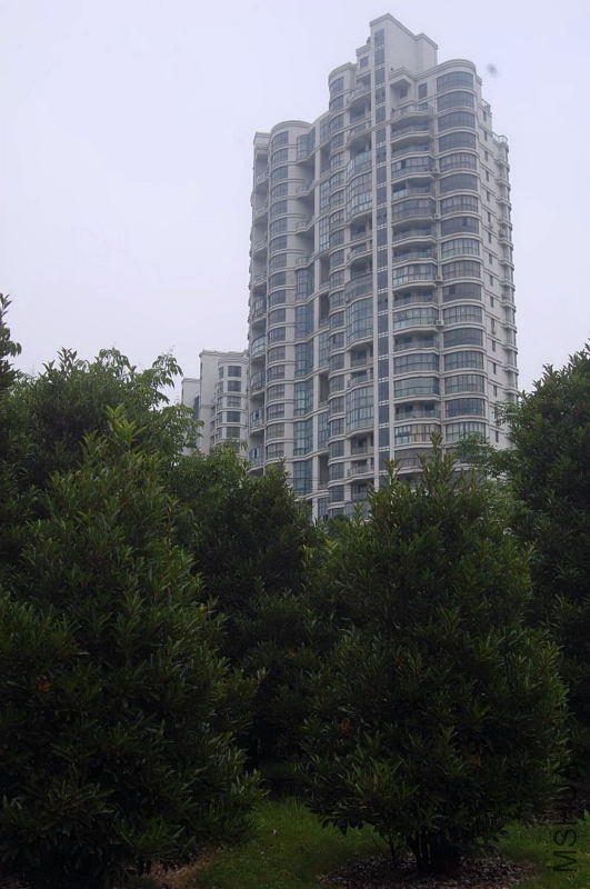 DSC_06590659.JPG