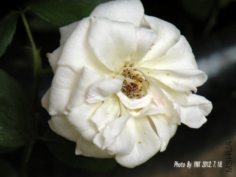 2012.7.18. 012_conew1.jpg