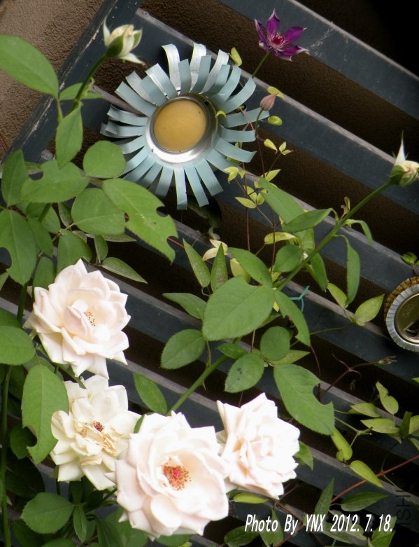 2012.7.18. 023_conew1.jpg