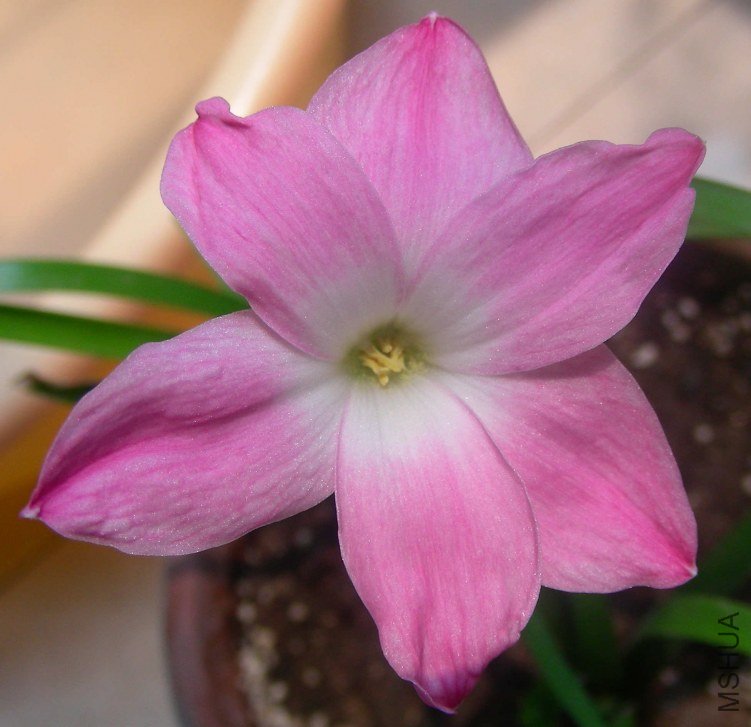DSCN8039.JPG