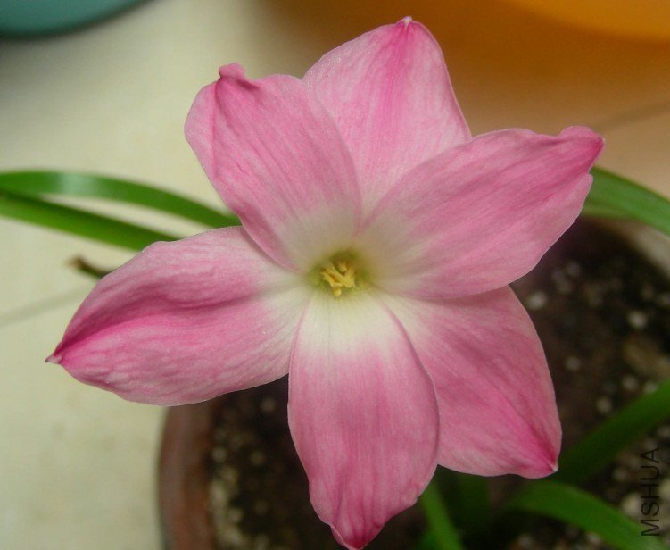 DSCN8041.JPG